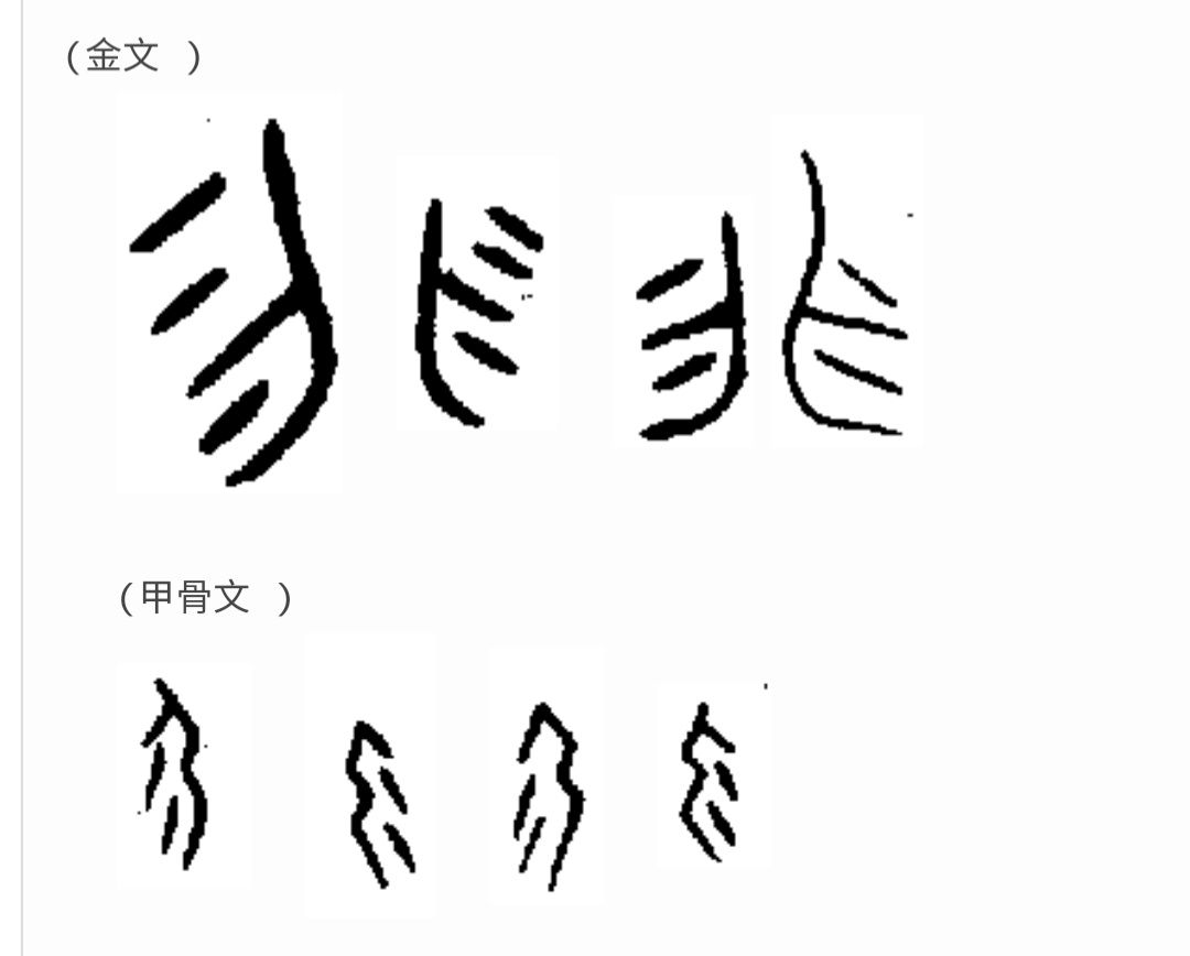 道德经中的阴阳辩证思想,道德经全书第二十九章解析