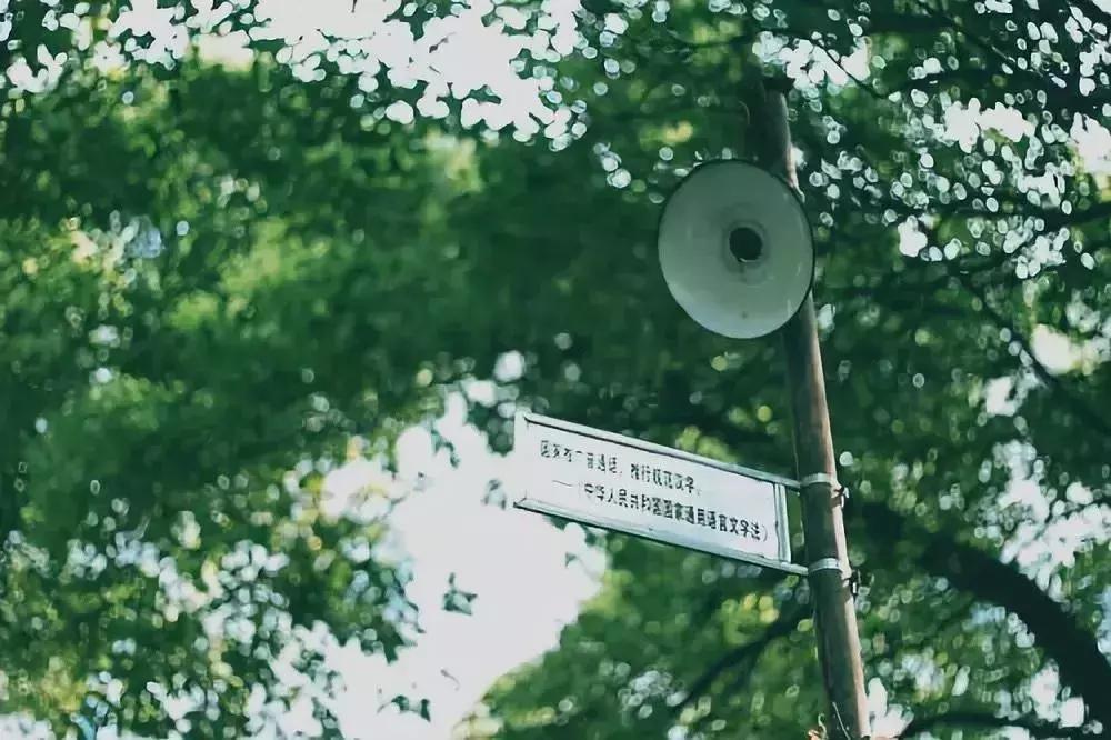 穿越一个世纪的时光只为与你相遇,穿越一个世纪的时光为你而来