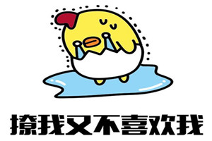 怎么看待知乎现状,知乎的企业现状