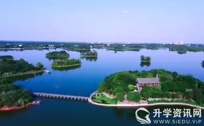 三岔河小学教师招聘,成都市东部新区教师公开招聘