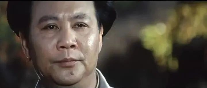 因与毛*东泽**主席太像，他被*剑英叶**红笔圈定，李讷见到他止不住流泪