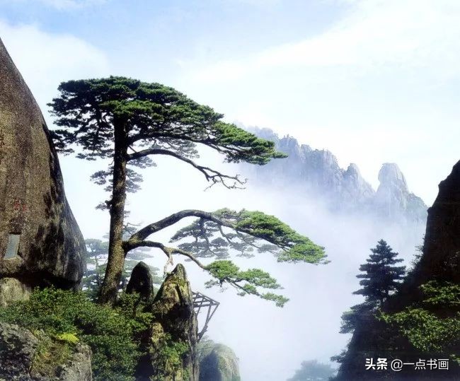 国画写意花鸟树木图片,国画常见吉祥植物图解之十二