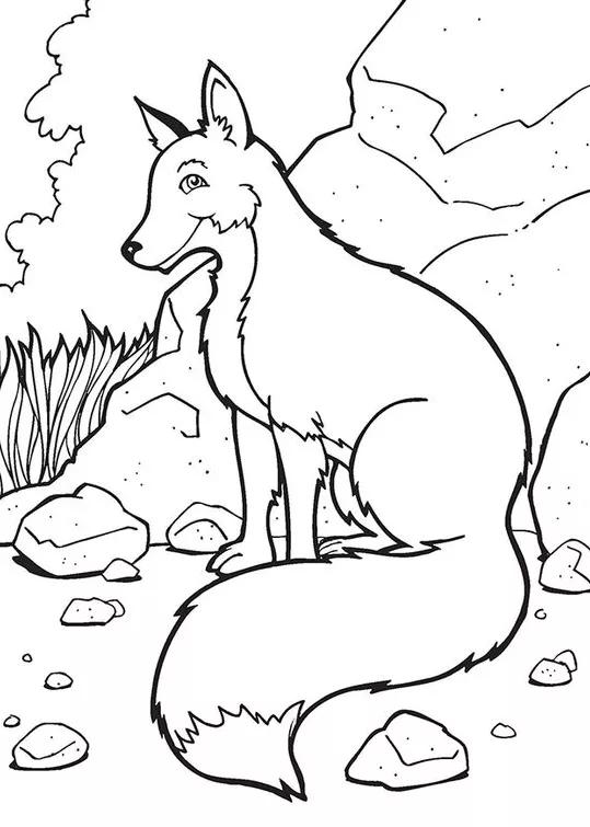 画画教程3-6岁简笔画动物,动物简笔画教程儿童简单又漂亮