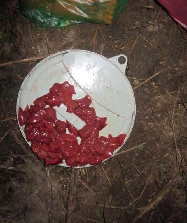 又到钓鲫鱼的季节,冬季钓鲶鱼的最佳时间段