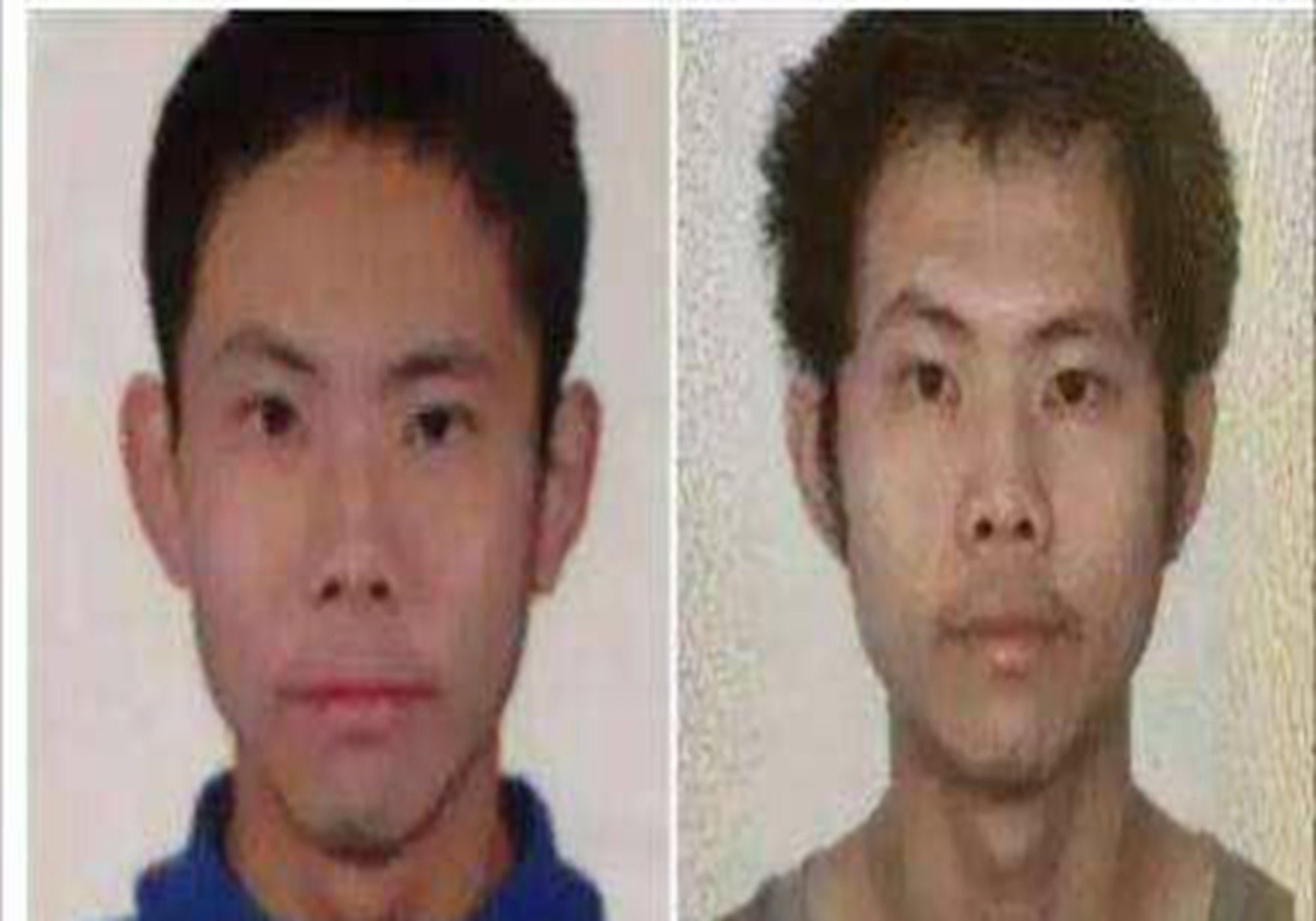 虎妈的动物套路,虎妈育儿方式失败的案例