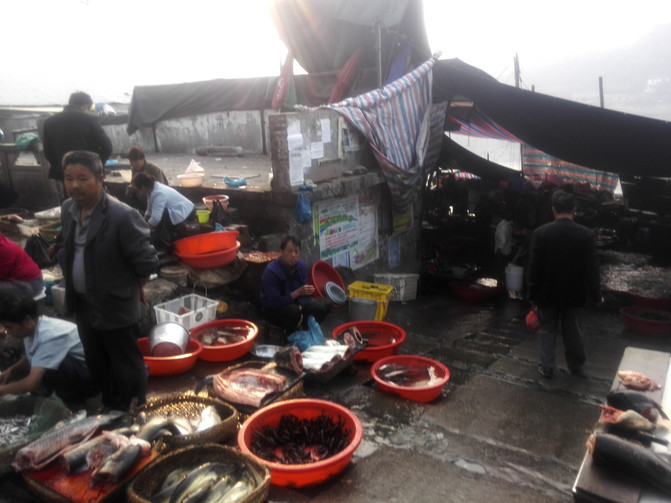益阳市内有什么旅游景点好玩,湖南省益阳市旅游景点排名