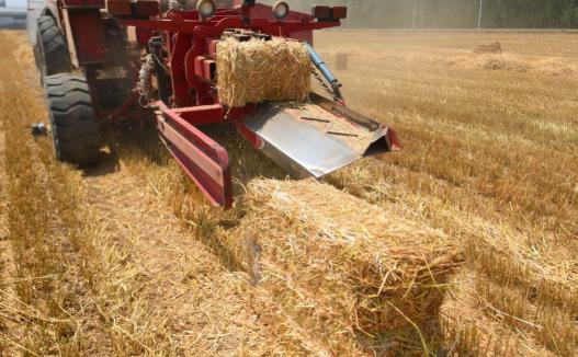 柿黄集村：麦秸打捆成饲料一天能挣400多