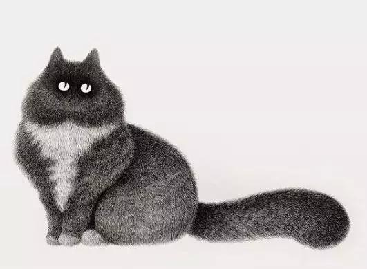 她用2元针管笔作画便惊艳了世界,他用粉笔画了一只猫