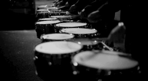 成人学什么乐器简单易学易上手,成人想学一门乐器哪种简单