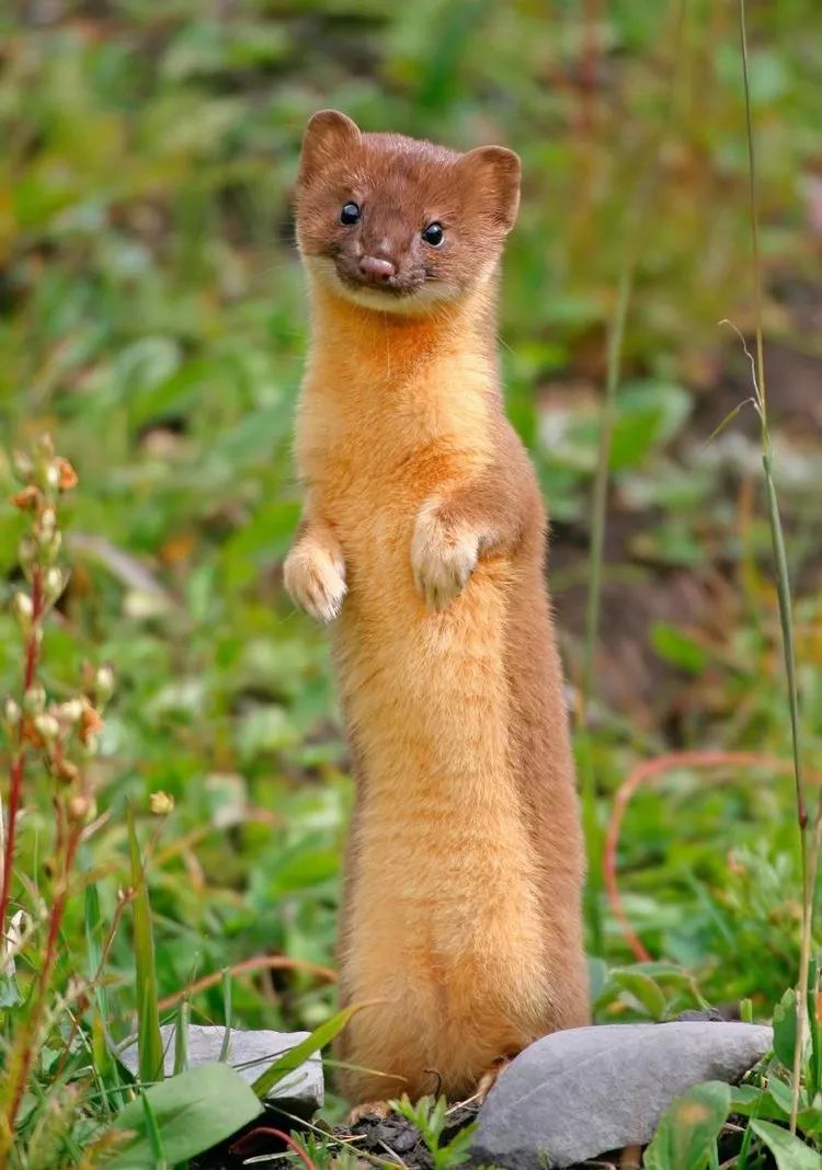 中元诡事大揭秘,中元诡事