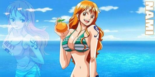 海贼王里的十二星座,海贼王星座大全