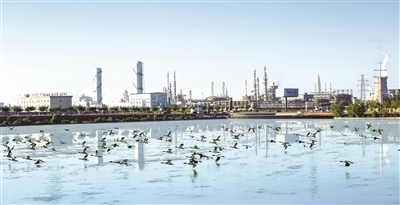新疆中泰新能源有限公司乌鲁木齐,新疆中泰新建公司