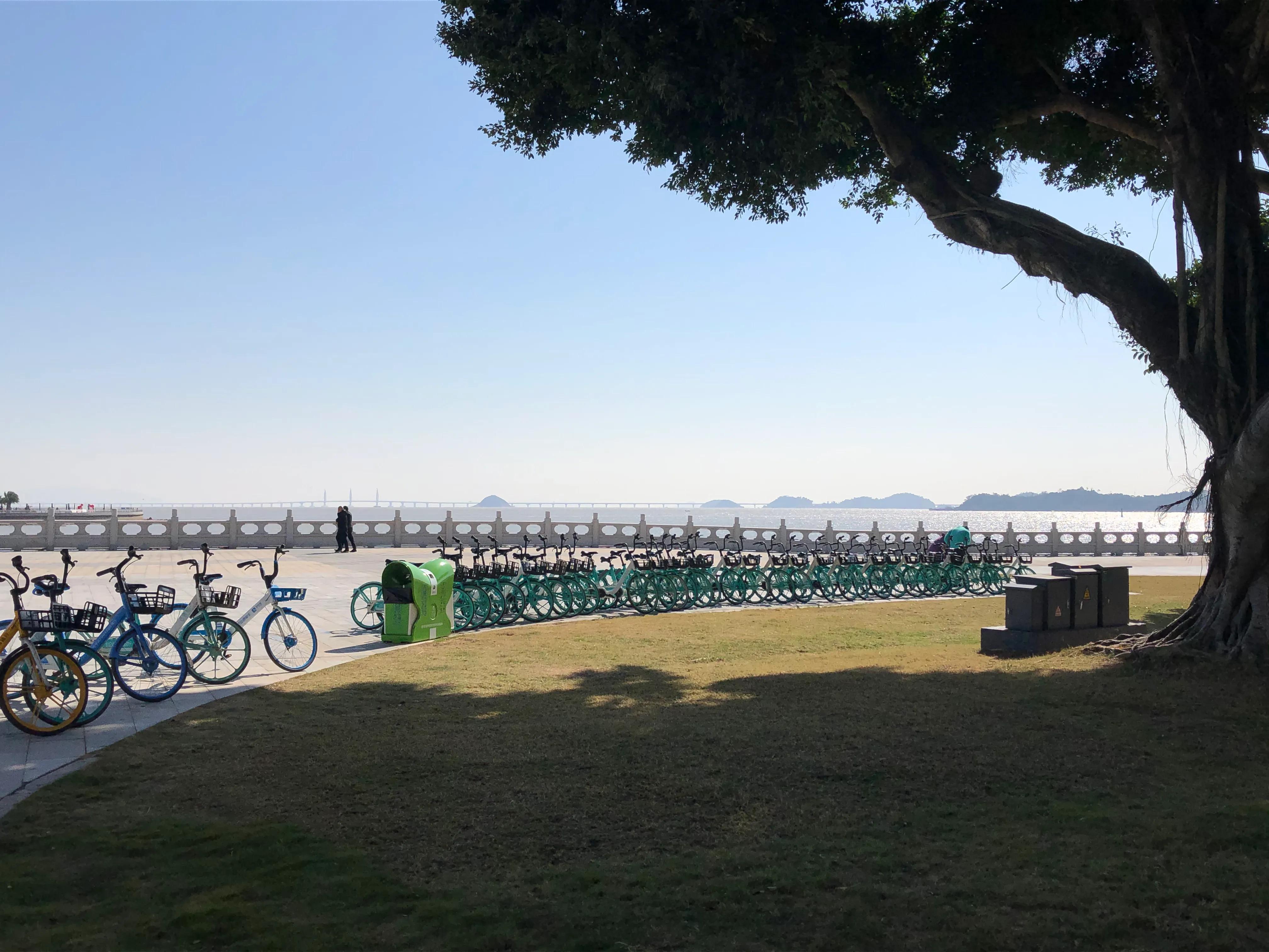 夜游珠海野狸岛风景,春节珠海野狸岛旅游