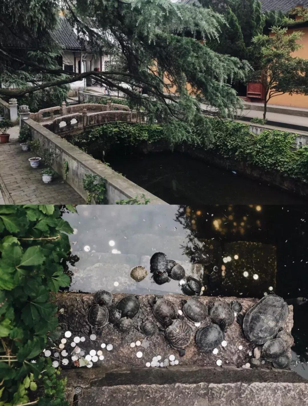 佛了！魔都周边9座「禁欲系寺院」，美到想出家！