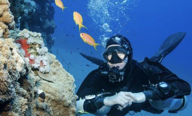 海洋里有噪音么,海洋里你从未听见的毛骨悚然声音