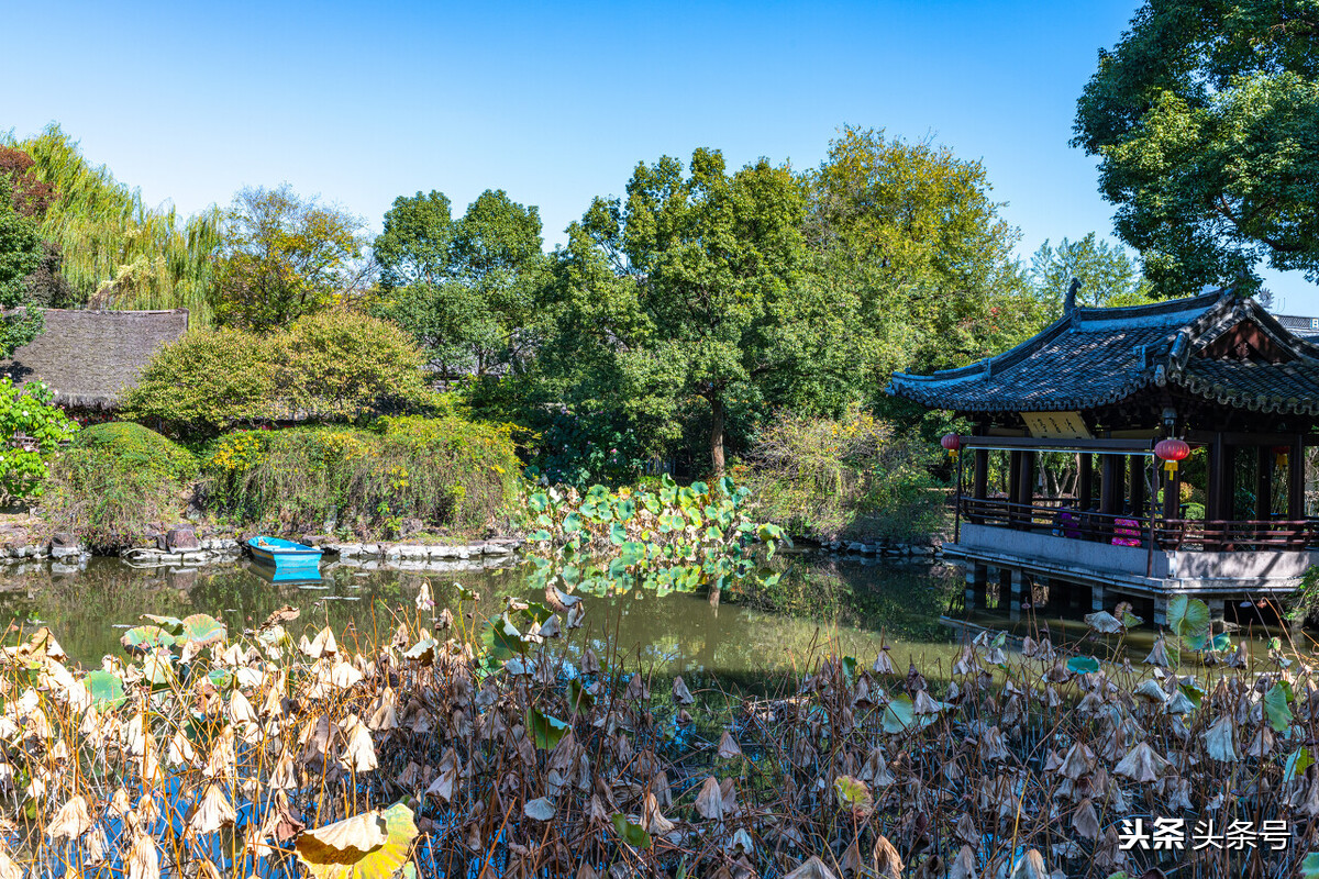 钗头凤陆游与唐琬是多少级的曲子,曾子航讲陆游与唐婉钗头凤