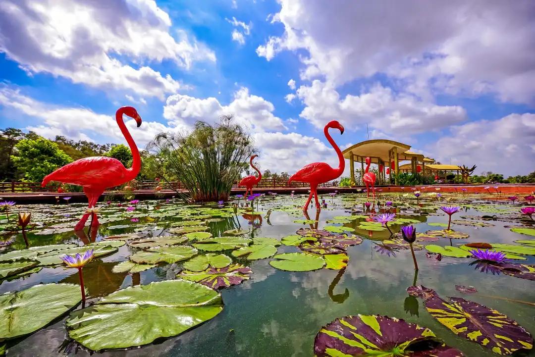 广州公园大片花海,广州哪个地铁站附近有花海
