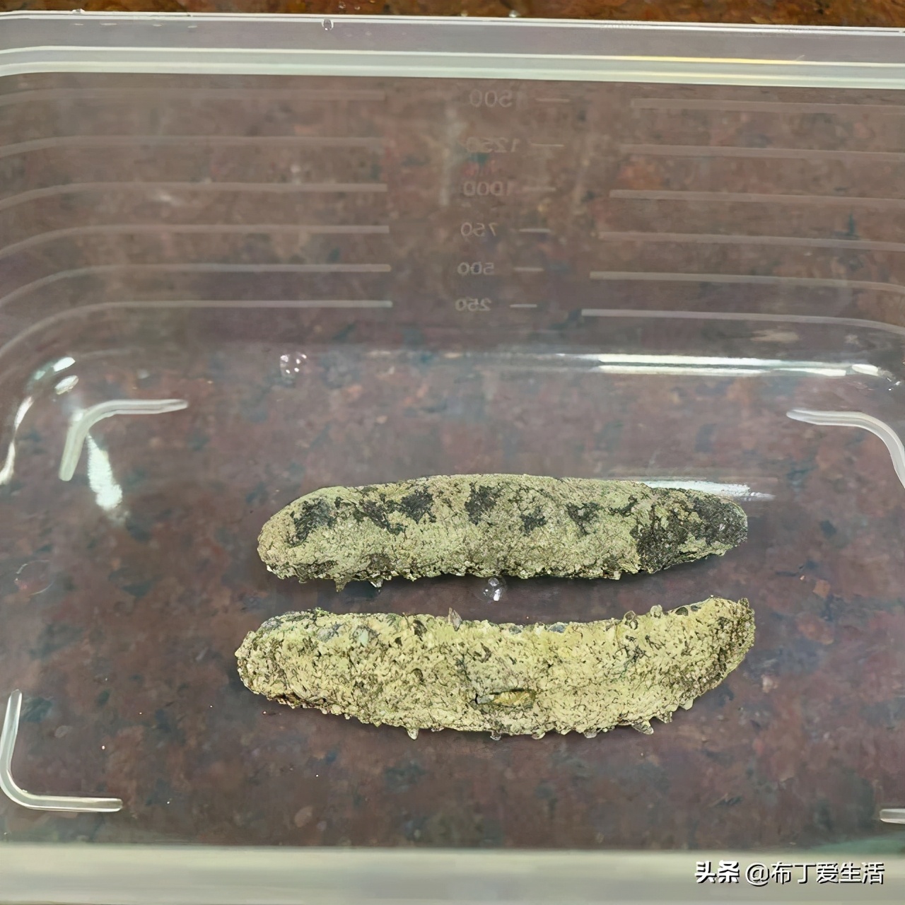 自己发海参的正确方法,海参的正确发制方法建议收藏