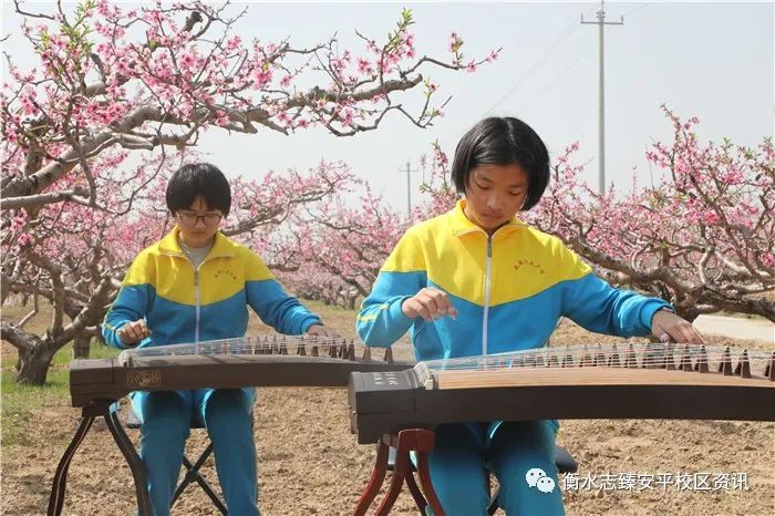 蹇楄嚮鏍￠槦,蹇楄嚮闈掓槬璁板繂