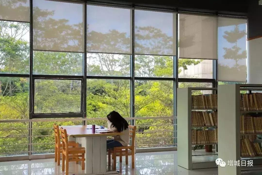 广州市各区图书馆攻略,广州市的图书馆推荐