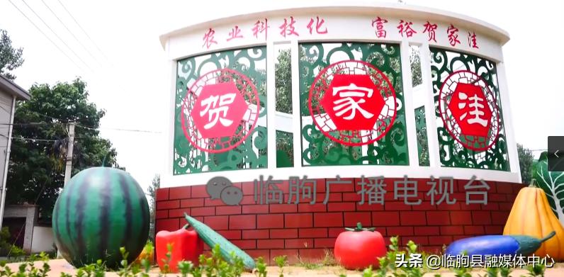 “绿满城乡·秀美临朐”系列报道（八）蒋峪镇篇：勇立潮头迎风起水墨蒋峪谱新篇