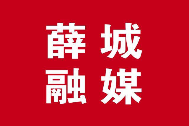 薛城陶庄镇还有发展前景吗,薛城陶庄镇建设