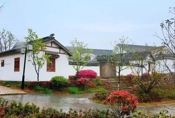 新区附近的旅游景点推荐,新区旅游攻略必去十大景点