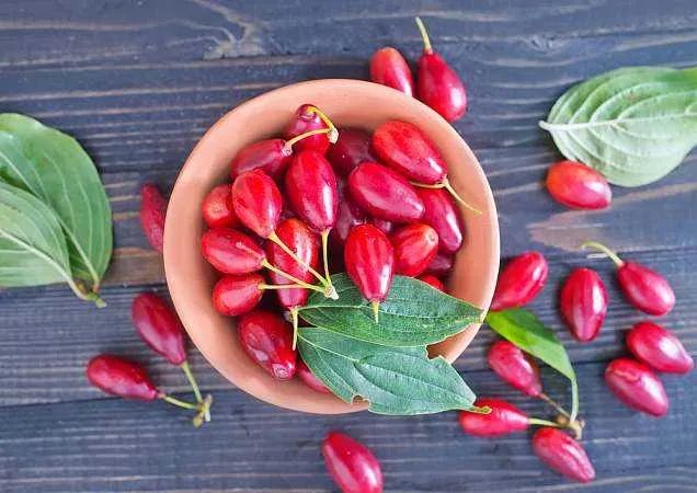 肾虚腰膝酸痛乏力补什么最有用,肾虚导致的腰膝酸软食疗