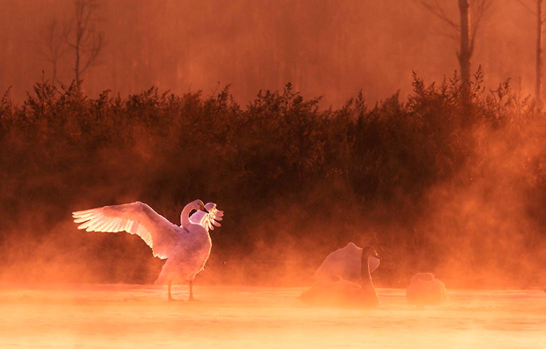 电商如何无货源开店,开网店无货源怎么学电商运营