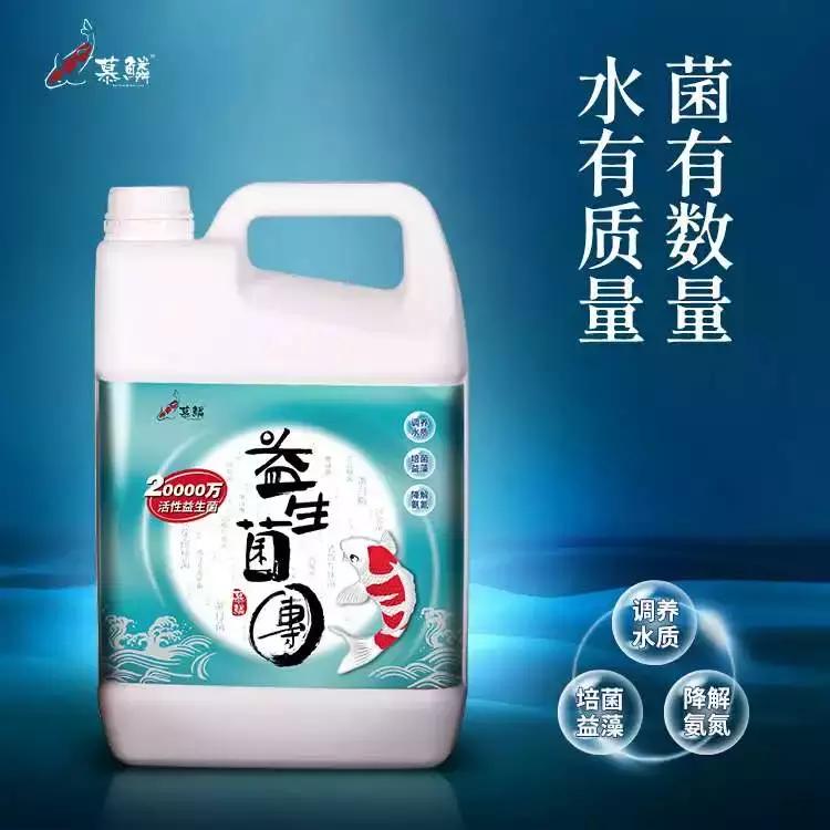 什么环境蝴蝶鲤容易得肠炎,家养鲤鱼的几种常见病