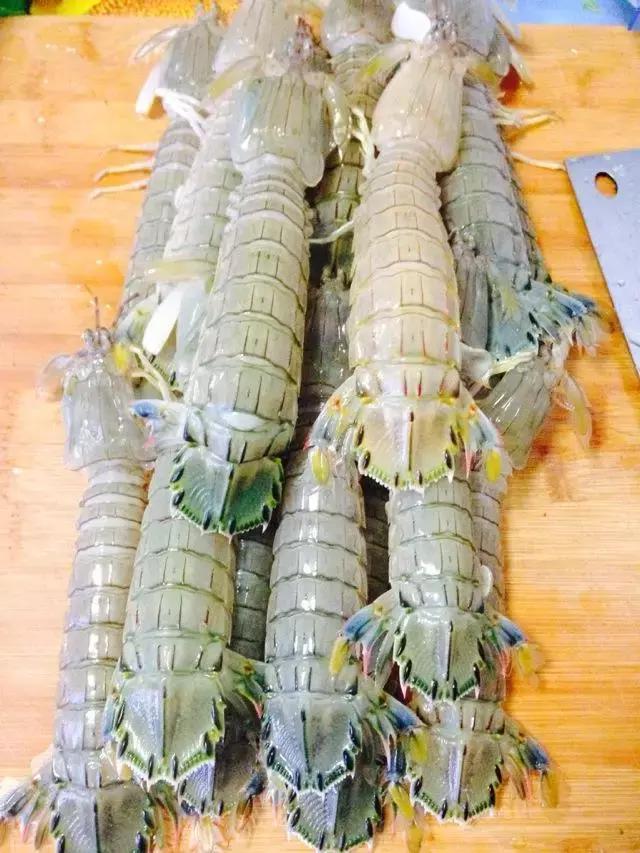 活皮皮虾用盐水泡着会死吗,皮皮虾泡水里几分钟就死了