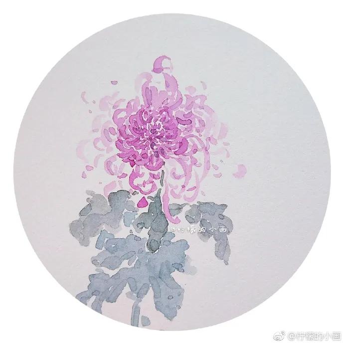 分享一组好看的小清新水彩插画,不来看看简单水彩小插画的教程吗