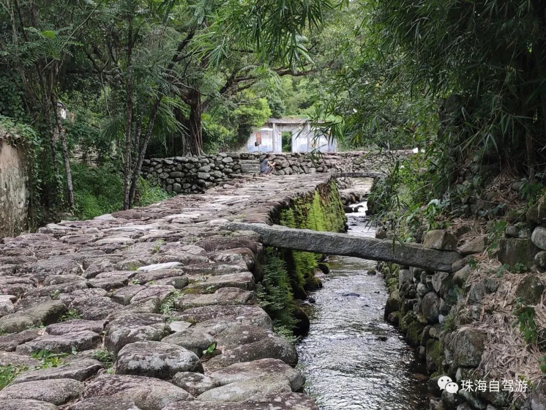 大山峰水牛坪露营记,东岸岭露营徒步