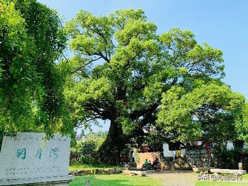 苏州西山景区旅游攻略,苏州西山旅游景点便宜攻略