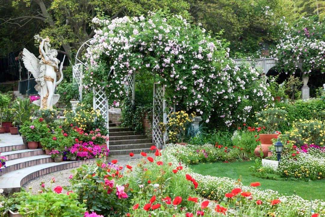 一个安徽爷爷，花1万块种出5000㎡私家花园，被评为中国最美