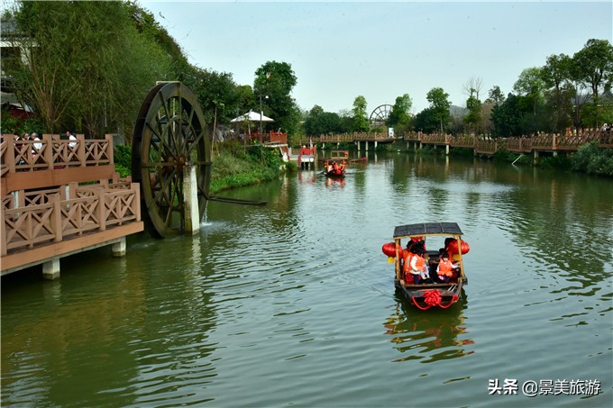 小蝌蚪是怎么出生的画册,小蝌蚪是从哪里来的