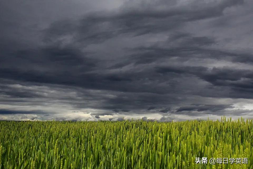 “下雨天”只会说“arainyday”？未免也太单调了