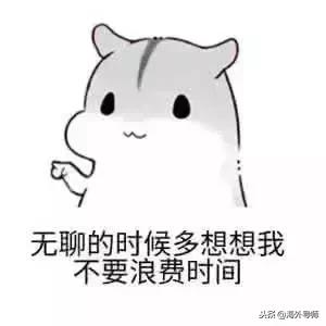 学英语从骂人开始,学英语先从骂人开始