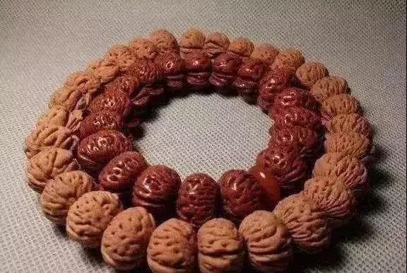 四大金刚桃核品种,桃核四大金刚你都玩过吗