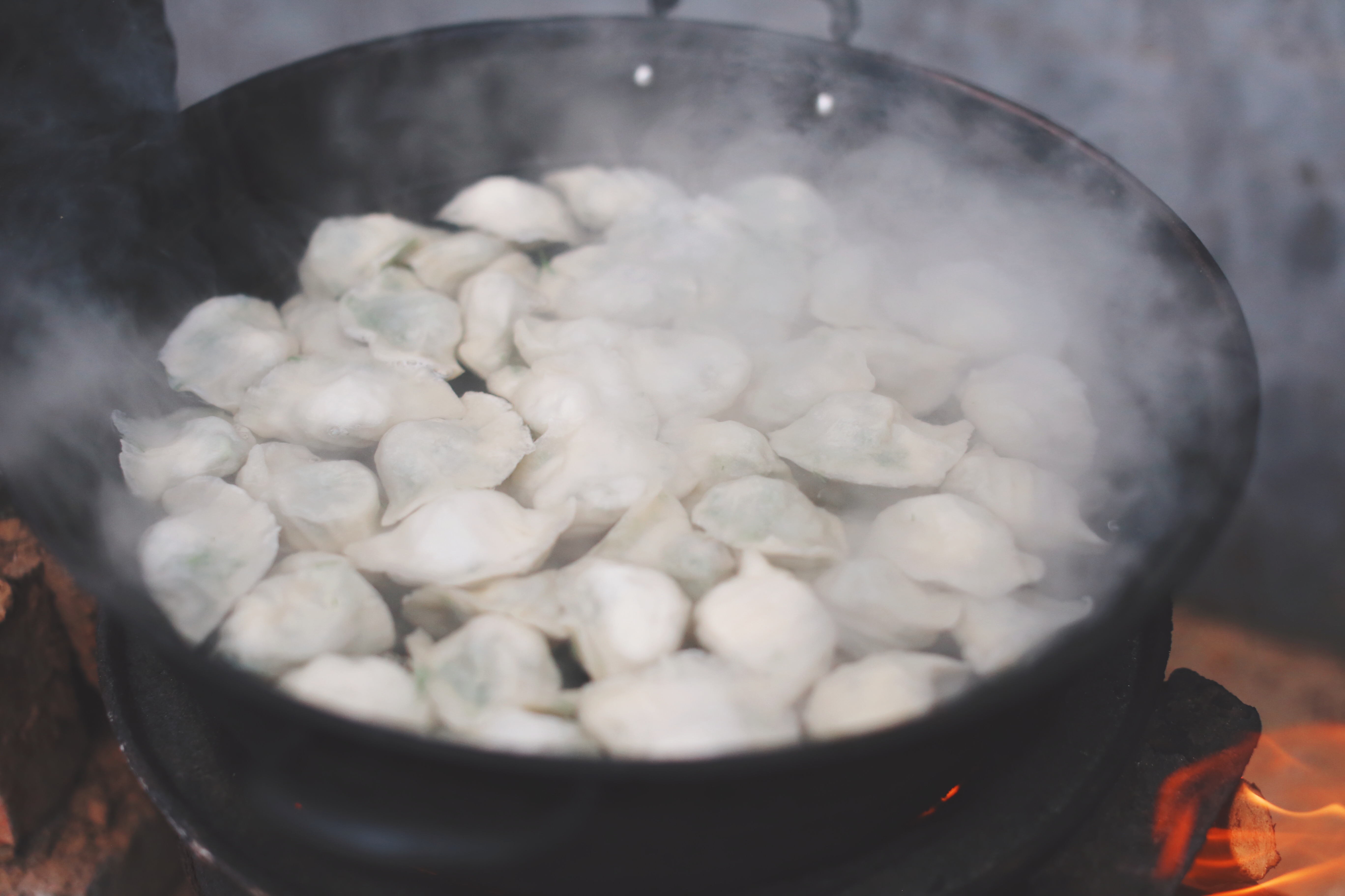 茴香馅水饺正宗做法,茴香猪肉生水饺