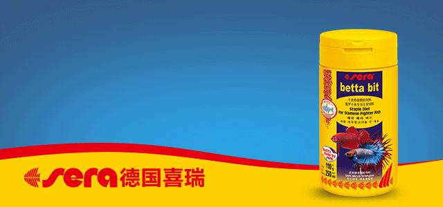 原生资讯｜和平与战争的使者-英贝利斯斗鱼