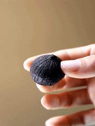 当一颗大蒜被黑了之后，吃货们发现了它的隐藏能力（菲李漫画）