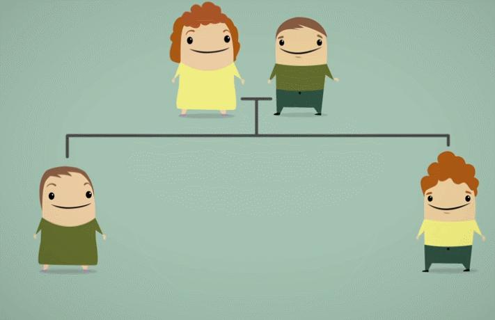 蛇最怕什么？真的不是雄黄粉，研究人员说明了原因