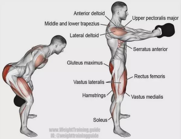 胸肩背臂腿腹训练动作,腰臀肌肉训练方法