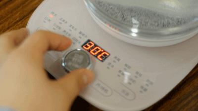 小熊养生壶全自动多功能家用小型,养生壶小熊机械款