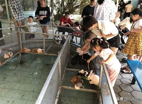 农村现在挣钱的门路有哪些,农村不起眼的挣钱门路有什么