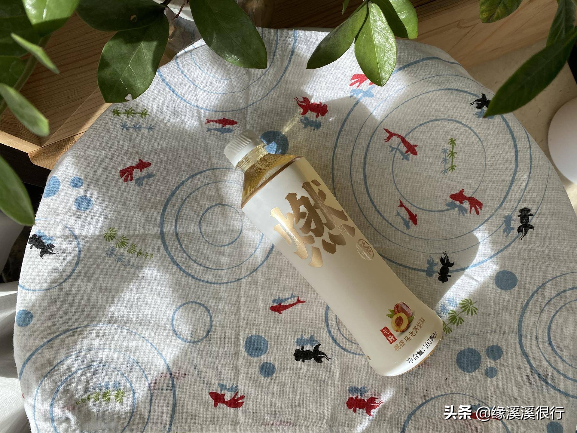 减肥期间可以喝元气森林气泡水,元气森林乳茶减脂吗