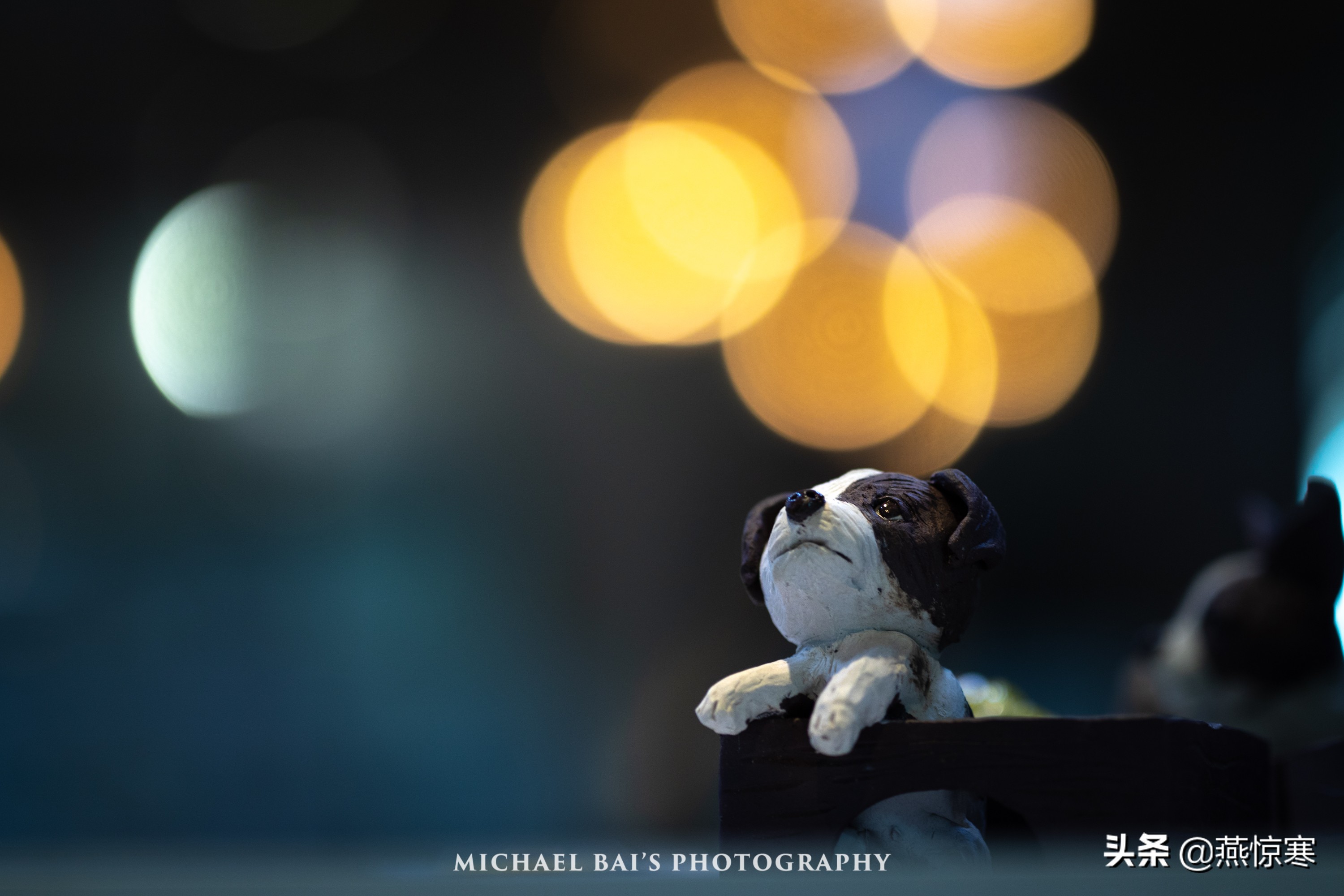 佳能rf24-702.8镜头,推荐几款佳能相机和镜头