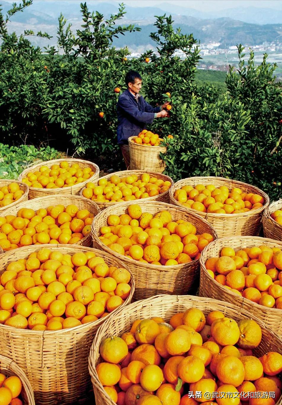 凤凰古城自驾十堰攻略,十堰晚上最美的路线