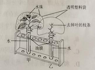 初中生物学业水平考试电子版,初中生物学业水平考试质量分析